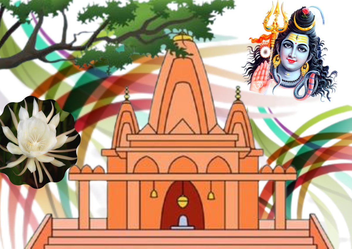 SOCIAL SKILLS (Acceptance and Inclusion- 4 )